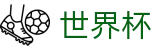 2026世界杯足球竞猜(FIFA World Cup)官方中文网